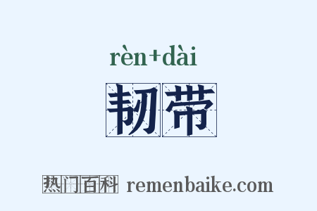 韧带是什么意思的图片